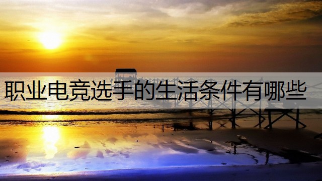 职业电竞选手的生活条件有哪些